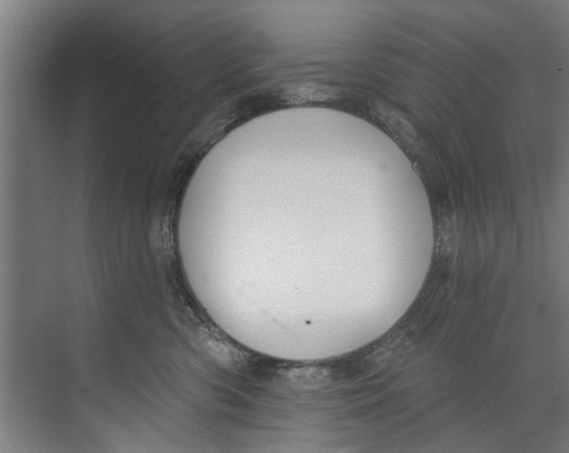 X0000073520426200608281738