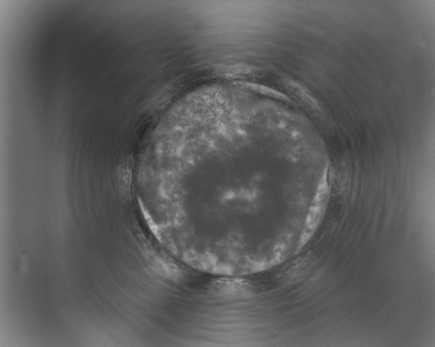 X0000073520427200608281738