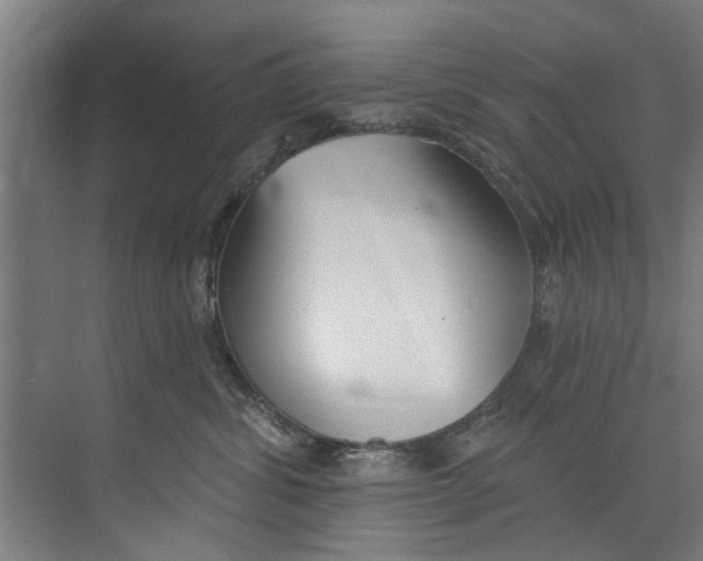 X0000073520428200608281738