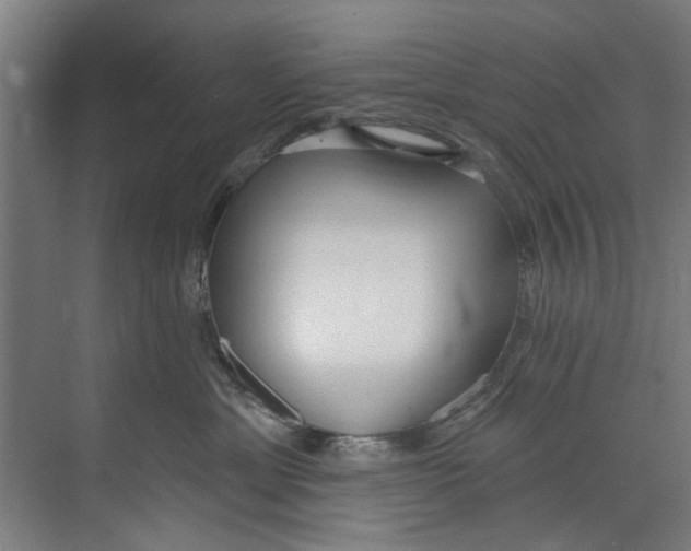 X0000073520429200608281738