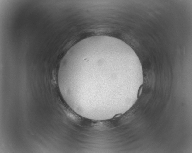 X0000073520430200608281738