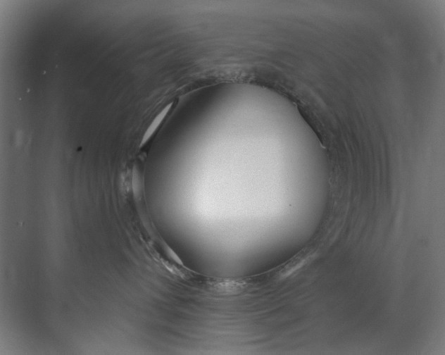 X0000073520432200608281738