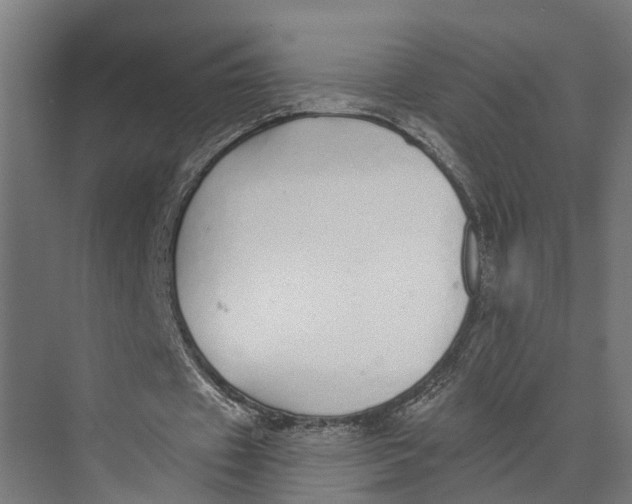 X0000073520433200608281737