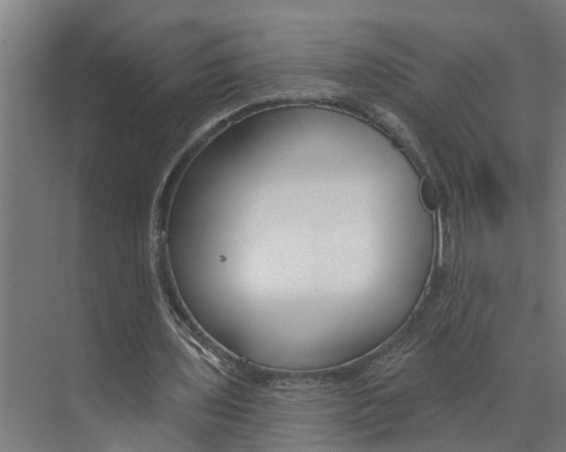 X0000073520435200608281737