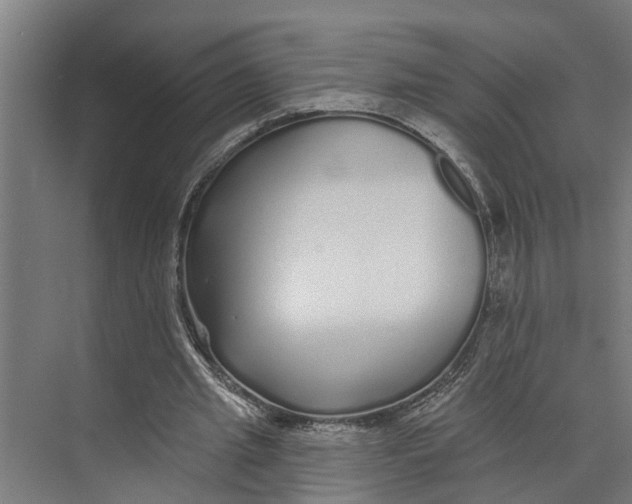 X0000073520437200608281737