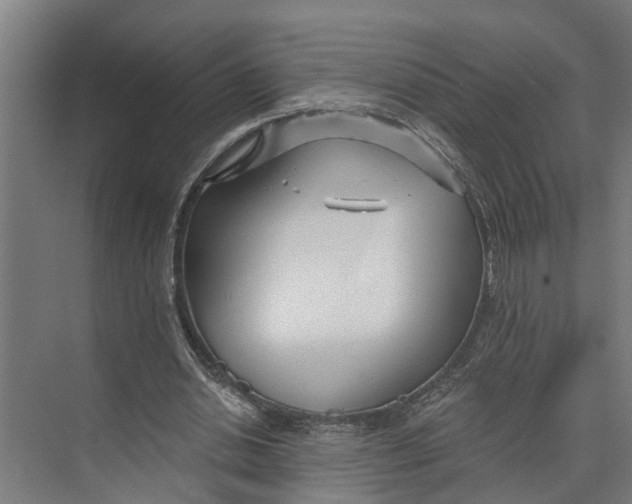 X0000073520438200608281737