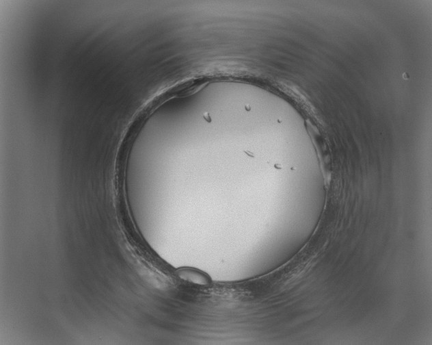 X0000073520439200608281737