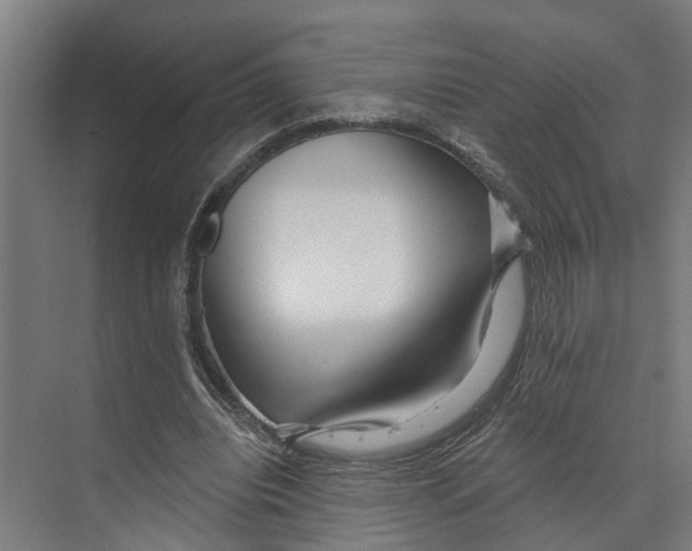 X0000073520440200608281737