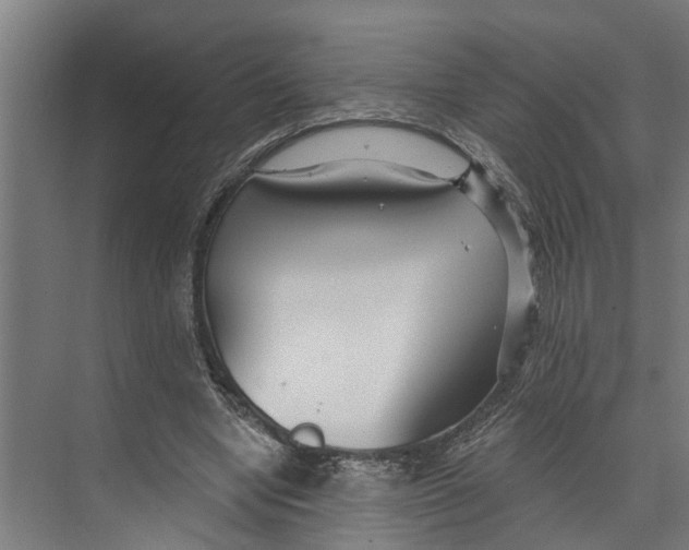 X0000073520442200608281737