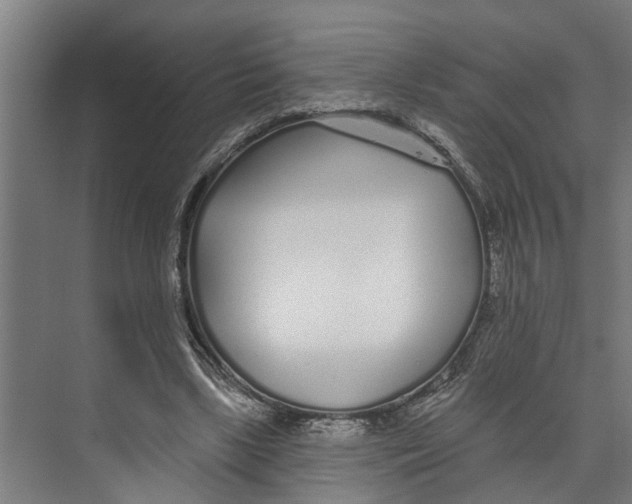 X0000073520443200608281737