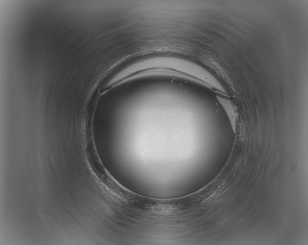 X0000073520444200608281737