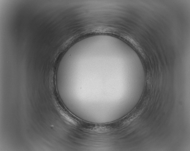 X0000073520445200608281737