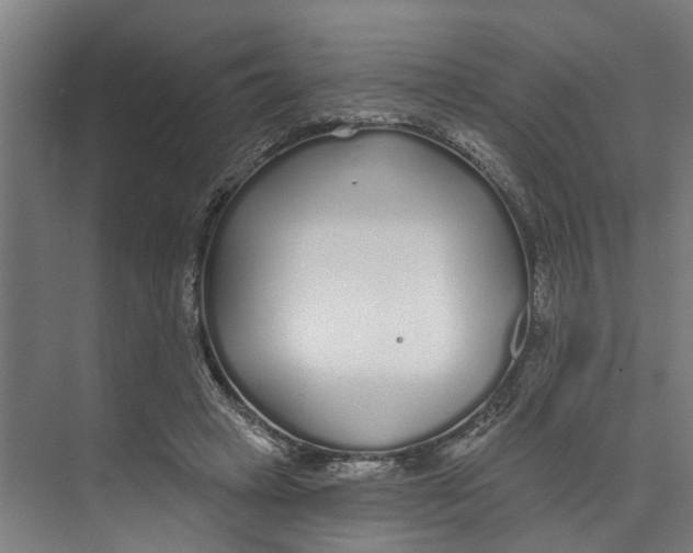 X0000073520449200608281737