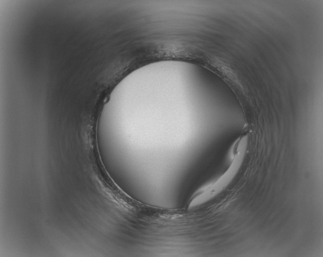 X0000073520450200608281737