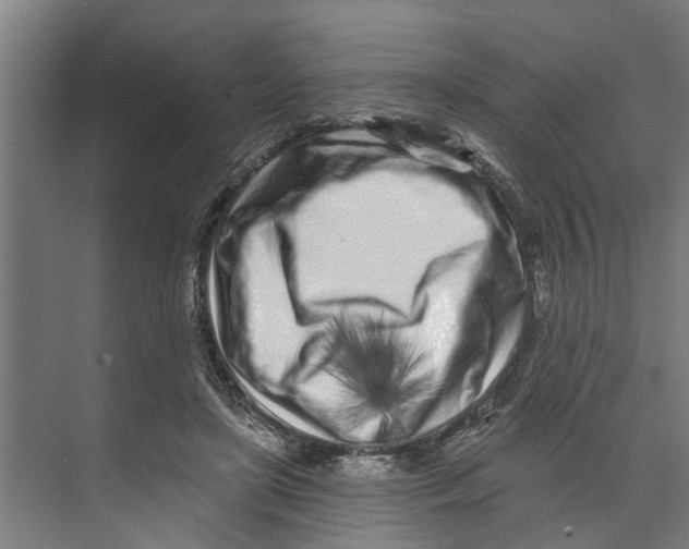 X0000073520451200608281737