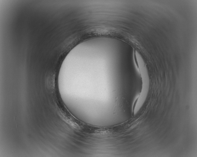 X0000073520454200608281737