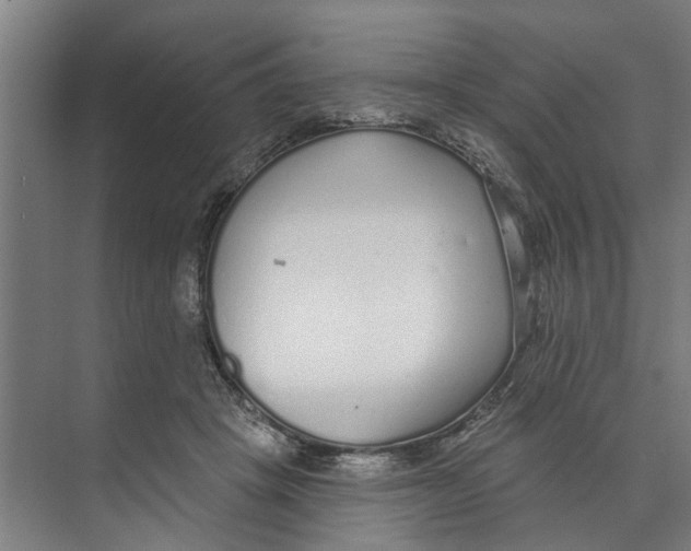 X0000073520457200608281737