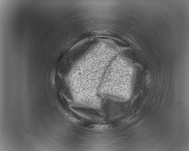 X0000073520458200608281737