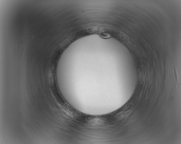 X0000073520460200608281737