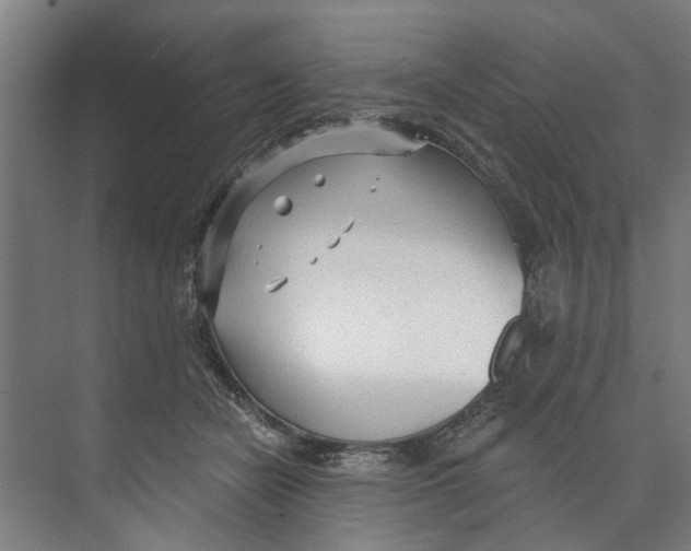 X0000073520462200608281737