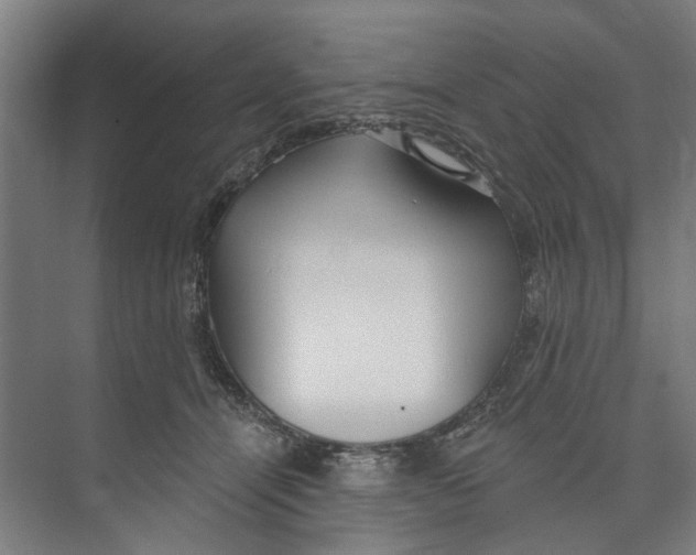 X0000073520464200608281737