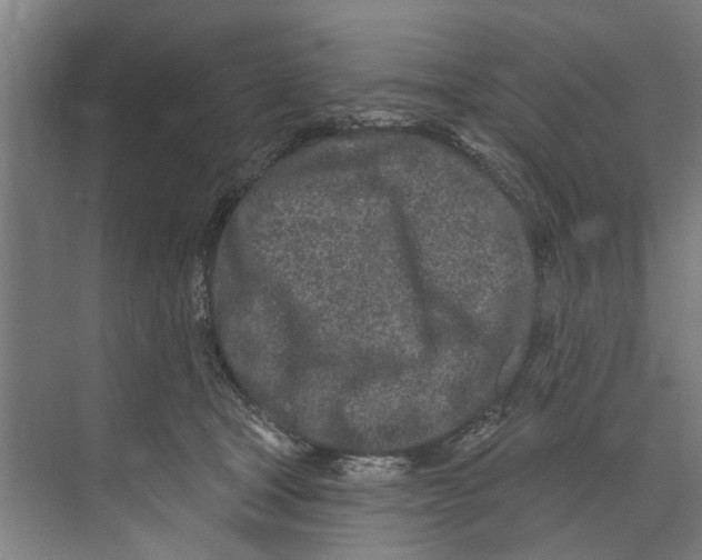 X0000073520465200608281738