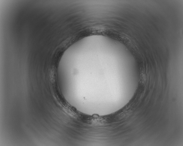 X0000073520468200608281738