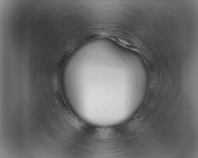 X0000073520469200608281738