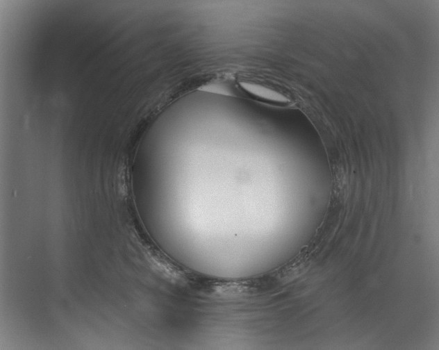 X0000073520470200608281738