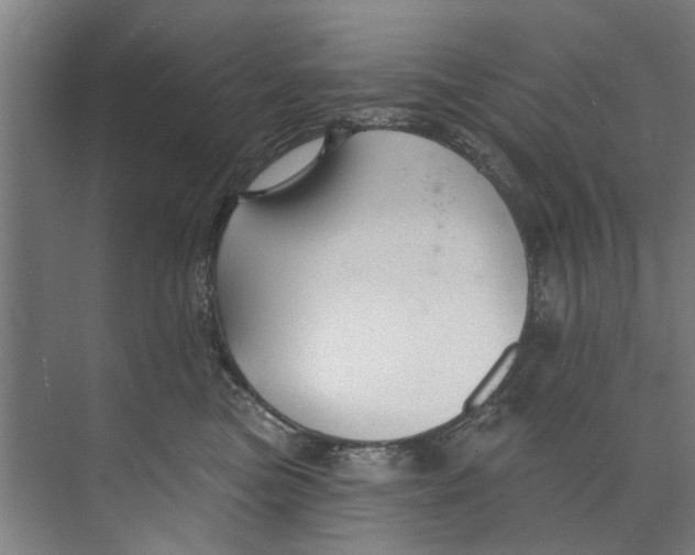 X0000073520473200608281738