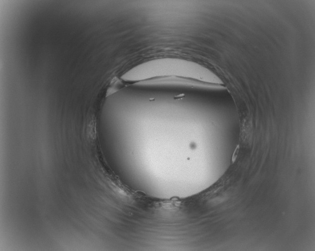 X0000073520474200608281738