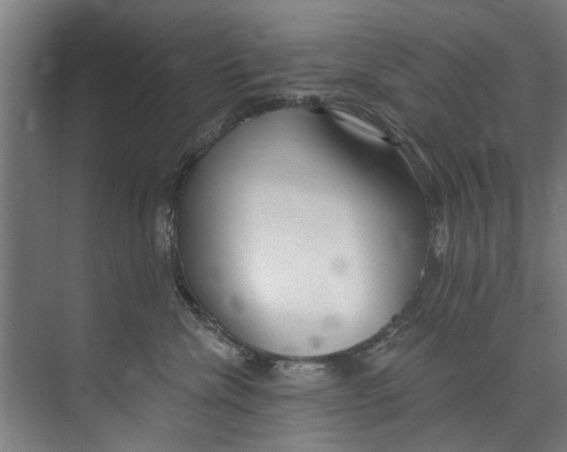 X0000073520476200608281738