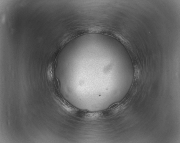 X0000073520479200608281738