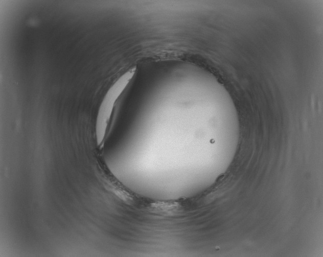 X0000073520480200608281738