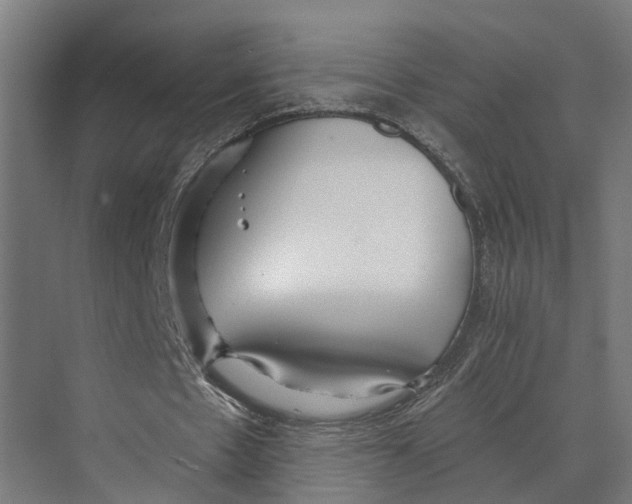 X0000073520481200608281737