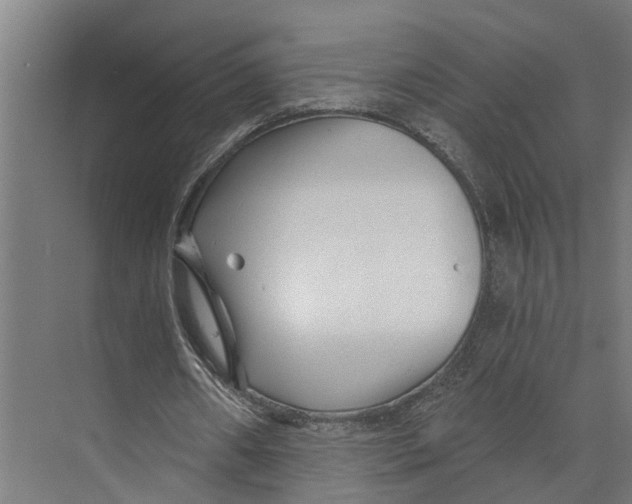 X0000073520482200608281737