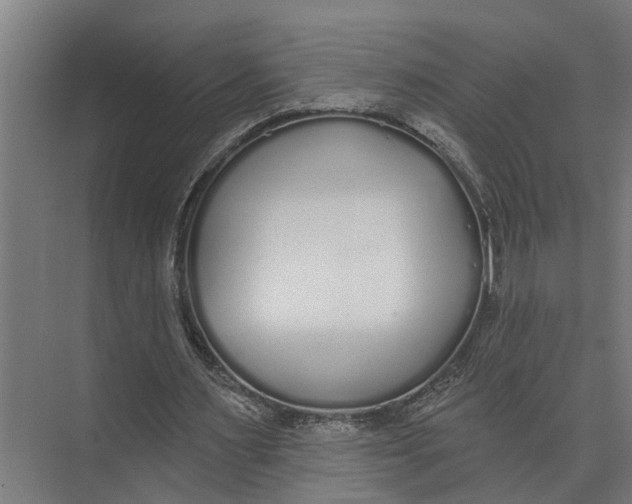 X0000073520483200608281737