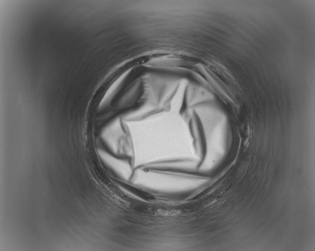 X0000073520484200608281737