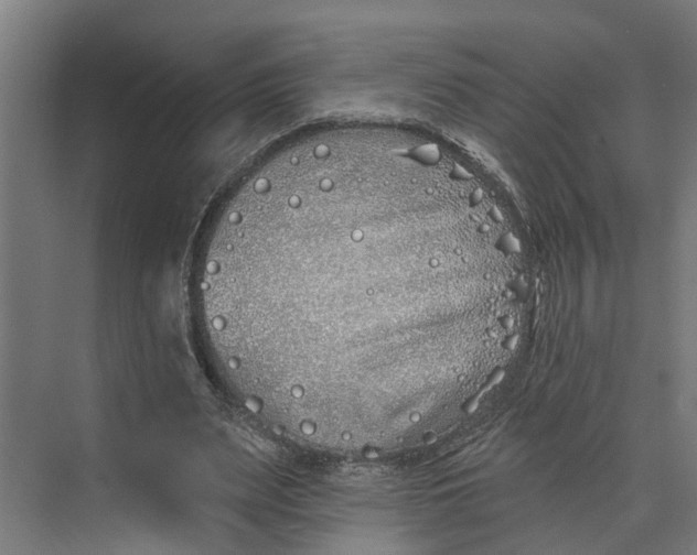 X0000073520487200608281737