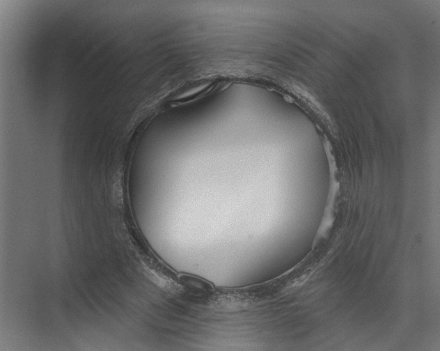 X0000073520489200608281737