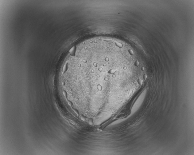 X0000073520491200608281737