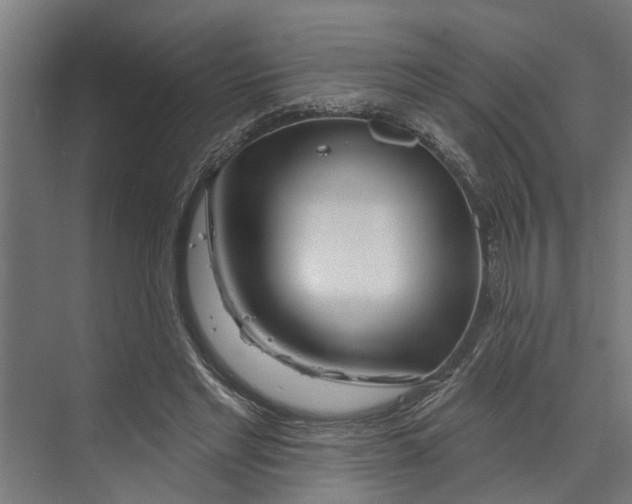 X0000073520493200608281737