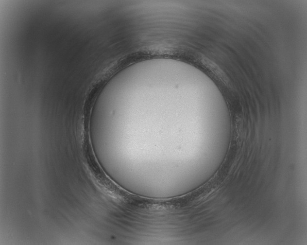 X0000073520494200608281737