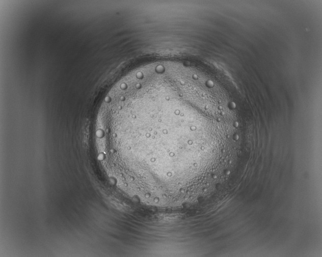 X0000073520495200608281737