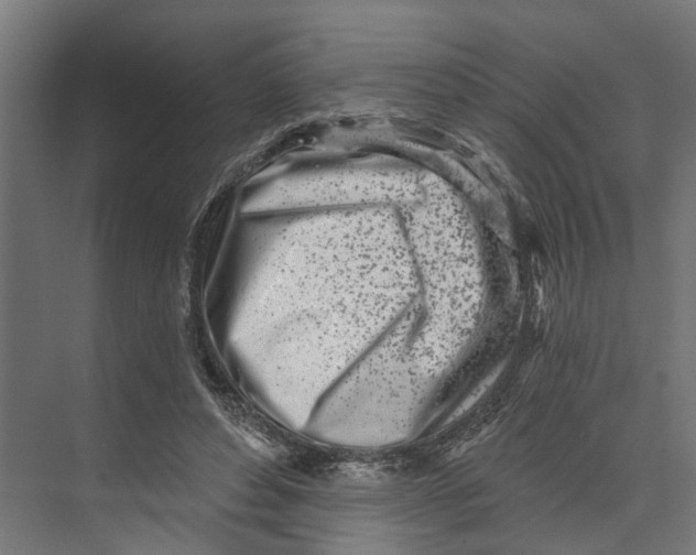 X0000073520496200608281737