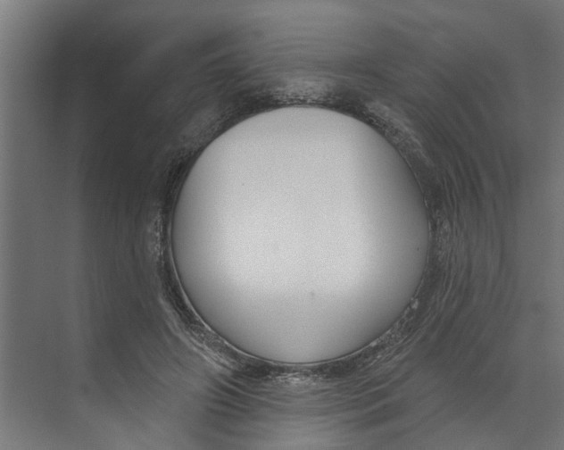 X0000073520498200608281737