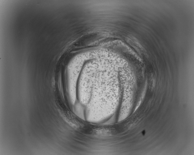 X0000073520500200608281737