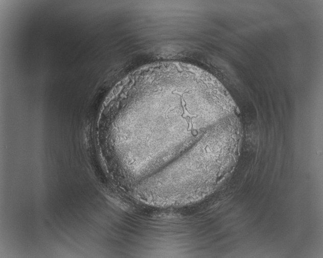 X0000073520503200608281737