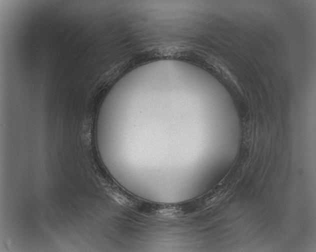 X0000073520505200608281737