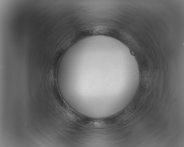 X0000073520506200608281737